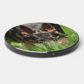 Blue German Shepherd Stare Down Wireless Charger (Front 2)
