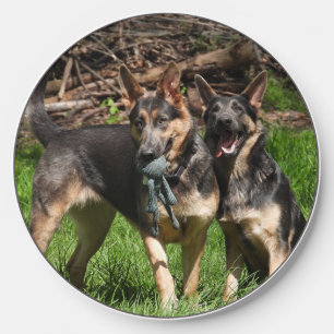 Blue German Shepherds with Toy Wireless Charger