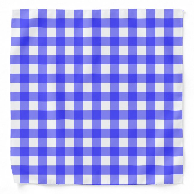 Blue Gingham Bandana (Front)