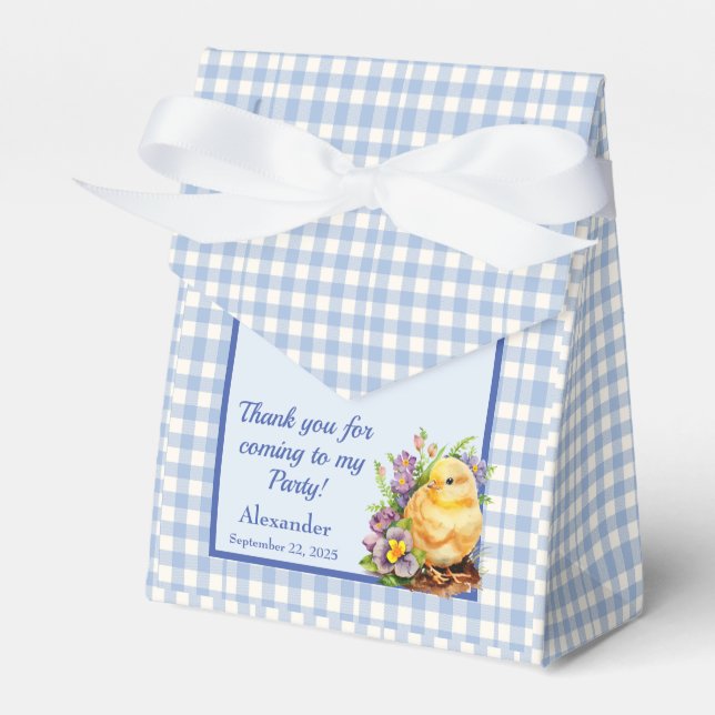 Blue Gingham Checker Birthday Party Favor Boxes (Front Side)