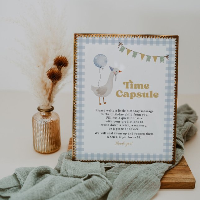 Blue Gingham One Silly Goose Time Capsule Sign (Creator Uploaded)