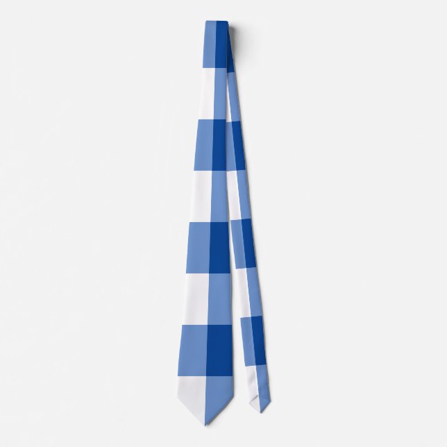 Blue gingham pattern neck tie (Front)