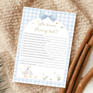 Blue Gingham Silly Goose Shower Who Knows Game