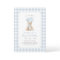 Blue Gingham Teddy Bear Beary First Birthday
