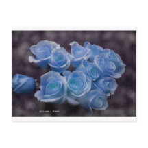 Blue glowing roses against a dark background