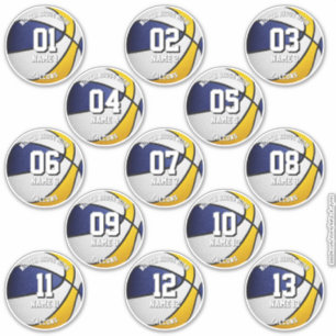 blue gold basketballs custom 13 players names sticker