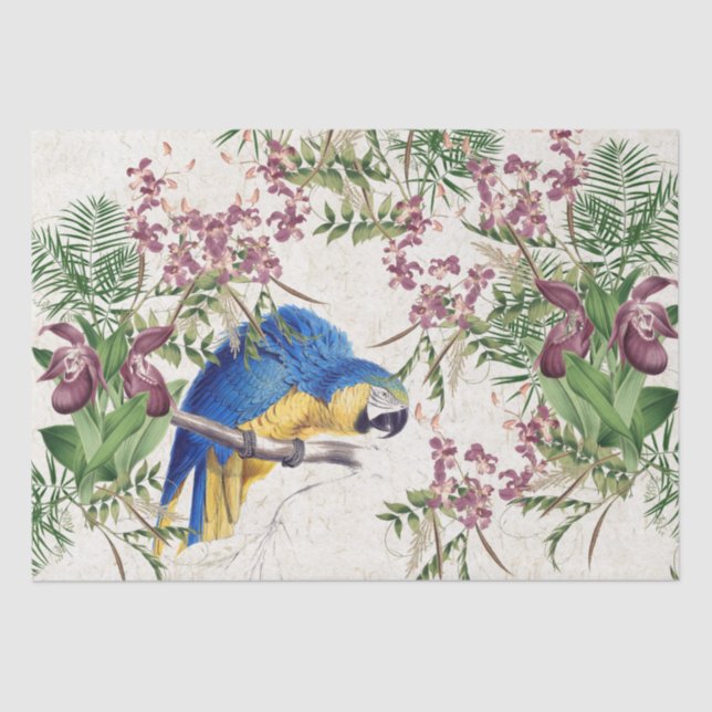 Blue Gold Macaw Bird Orchid Flower Tissue Paper (Front)