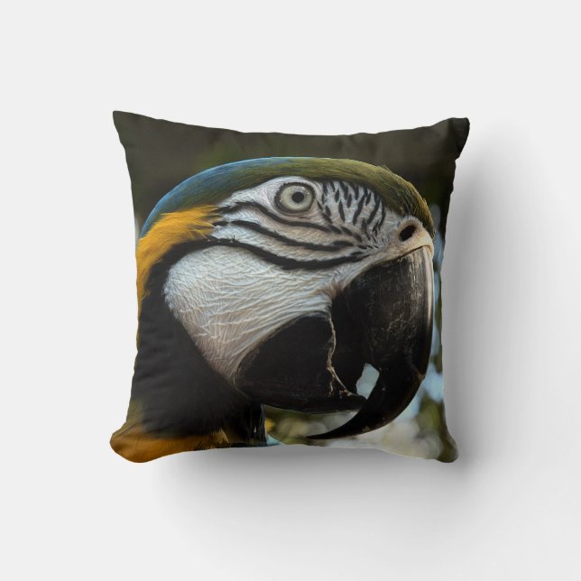 Blue Gold Macaw Face Close Up Pillow (Front)