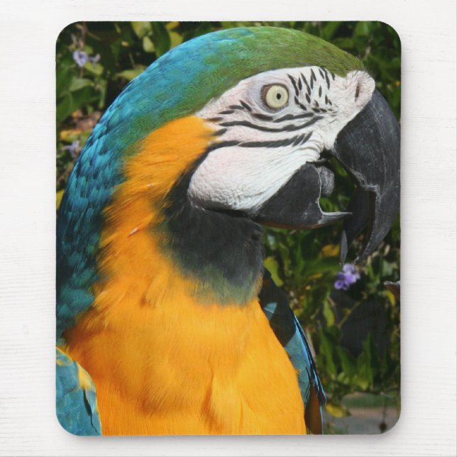 Blue & Gold Macaw Mousepad (Front)