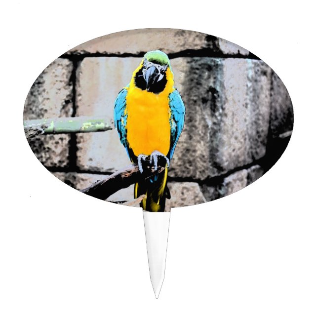 blue gold macaw on perch paintery parrot cake topper (Front)