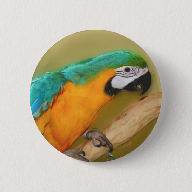 Blue Gold Macaw Parrot Animal Button (Front)