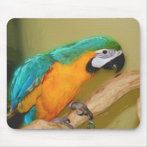Blue Gold Macaw Parrot Painting Animal Mousepad | Zazzle