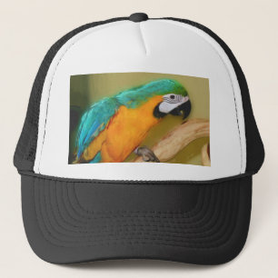 Blue Gold Macaw Parrot Painting Hat