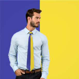 Blue & Gold Split Color Design Neck Tie