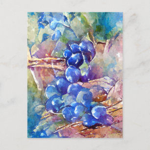 Blue grapes painted postcard