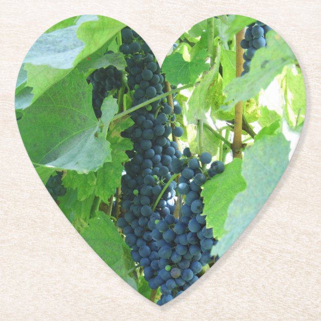 Blue Grapes Paper Coaster (Front)