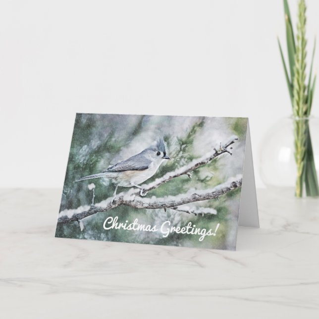 Blue Gray Bird in Snow Christmas Card (Front)