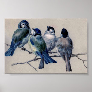 Blue Gray Birds on a Branch by Hector Giacomelli Poster