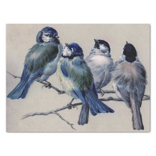 Blue Gray Birds on a Branch by Hector Giacomelli T Tissue Paper