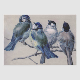 Blue Gray Birds on a Branch by Hector Giacomelli T Tissue Paper