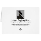Blue-gray Gnatcatcher Cards (Back Horizontal)