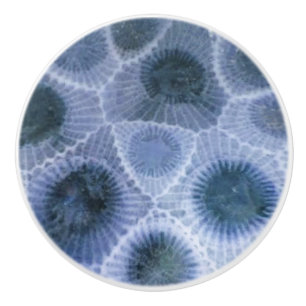 Blue Gray Petoskey Stone Ceramic Knob
