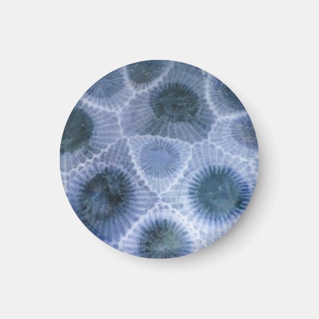 Blue Gray Petoskey Stone Magnet (Front)