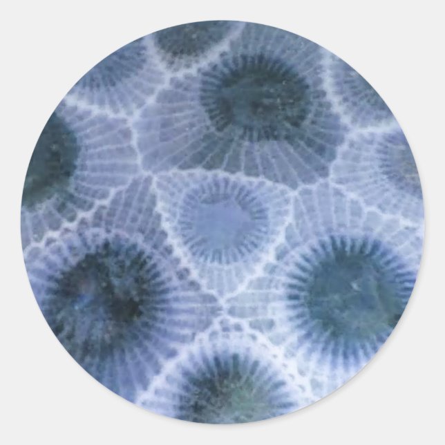 Blue Gray Petoskey Stone Stickers (Front)