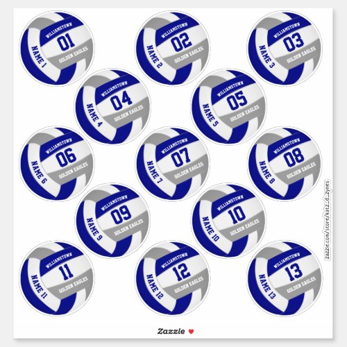 blue gray school colors volleyball players names sticker