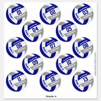 Blue Gray School Colors Volleyball Players Names Sticker by katz_d_zynes at Zazzle