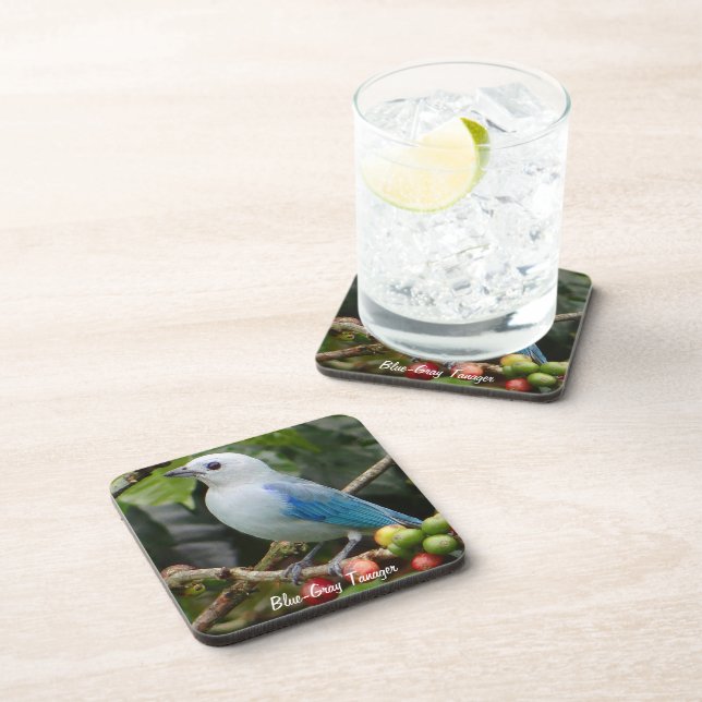 Blue-Gray Tanager Coaster (Right Side)
