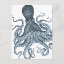 Blue Gray Vintage Octopus Illustration Postcard