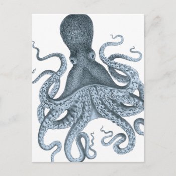 Blue Gray Vintage Octopus Illustration Postcard by AnyTownArt at Zazzle