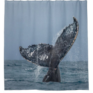 Blue Gray Whale Tale Ocean Sea Animal Shower Curtain