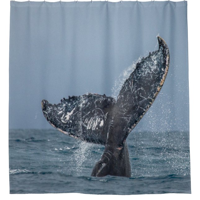 Blue Gray Whale Tale Ocean Sea Animal Shower Curtain (Front)