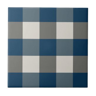 Blue Gray White Buffalo Check 