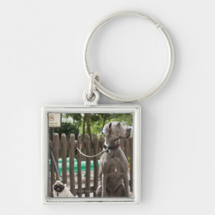 Blue Great Dane and pug dogs on leashes Keychain