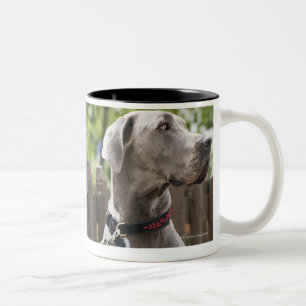 Blue Great Dane and pug dogs on leashes Two-Tone Coffee Mug