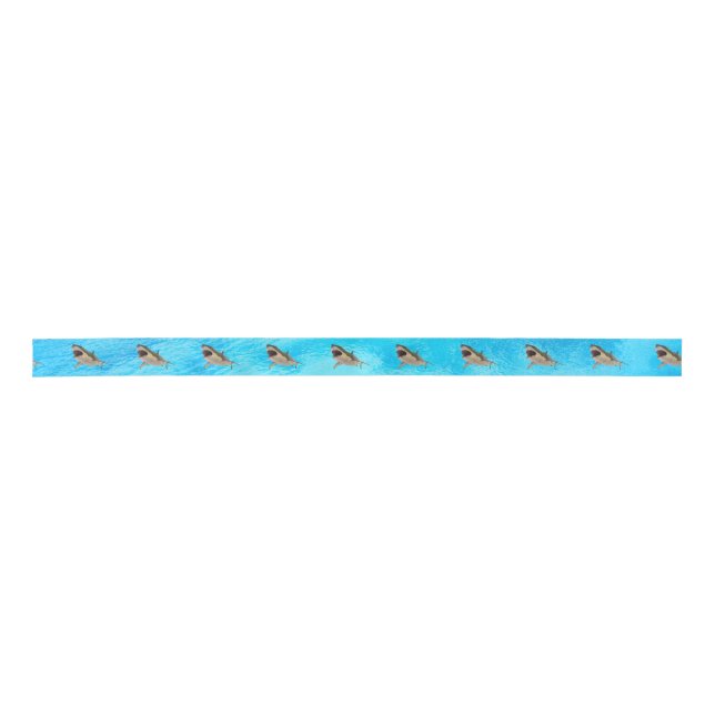Blue Great White Shark Gift Ribbon  (Front)