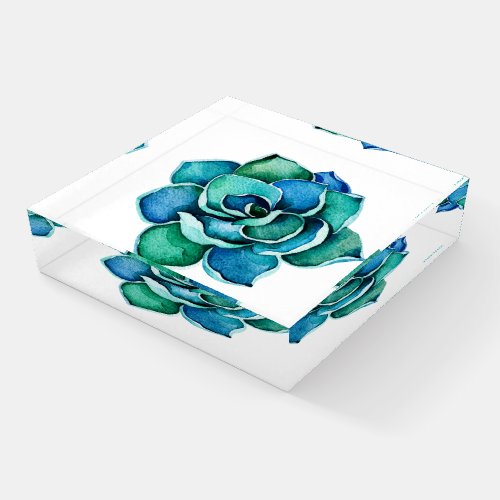 Blue_gree watercolors succulent illustration paperweight