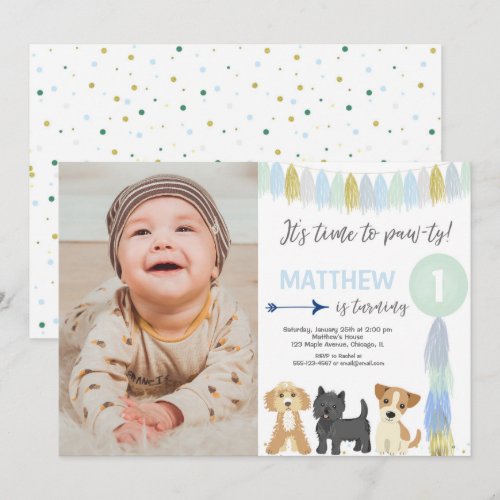 Blue green gold cute dog puppy boy birthday photo