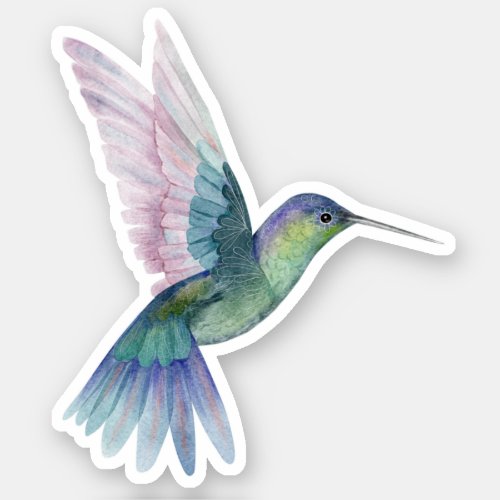 Blue Green Hummingbird Nature Wildlife  Sticker