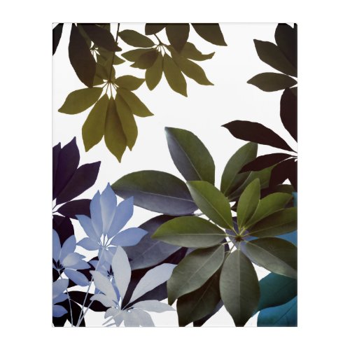 Blue  Green leaves Acrylic Wall Art