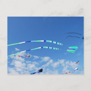 Blue Green Long Tail Kite Postcard