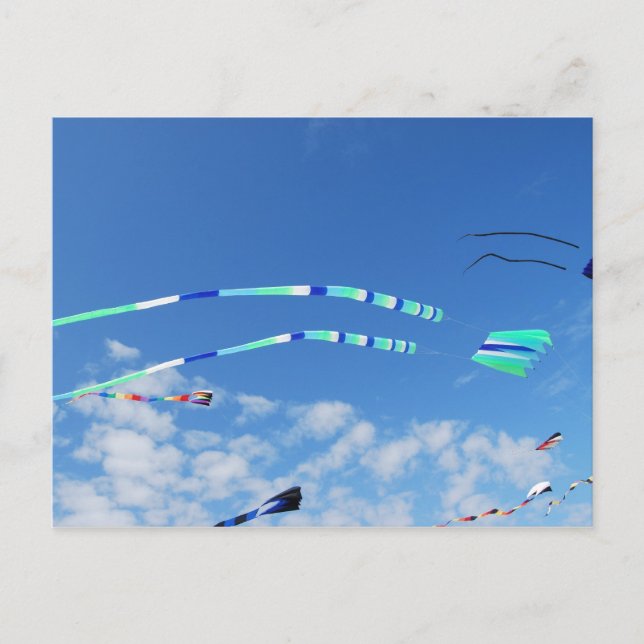 Blue Green Long Tail Kite Postcard (Front)