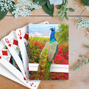 Blue Green Peacock Photo Beautiful Stylish Chic Poker Cards