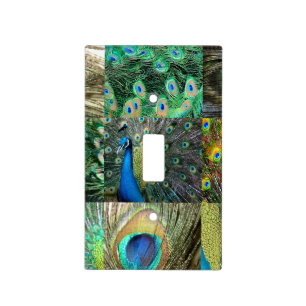 Blue Green Peacock photo collage Light Switch Cover