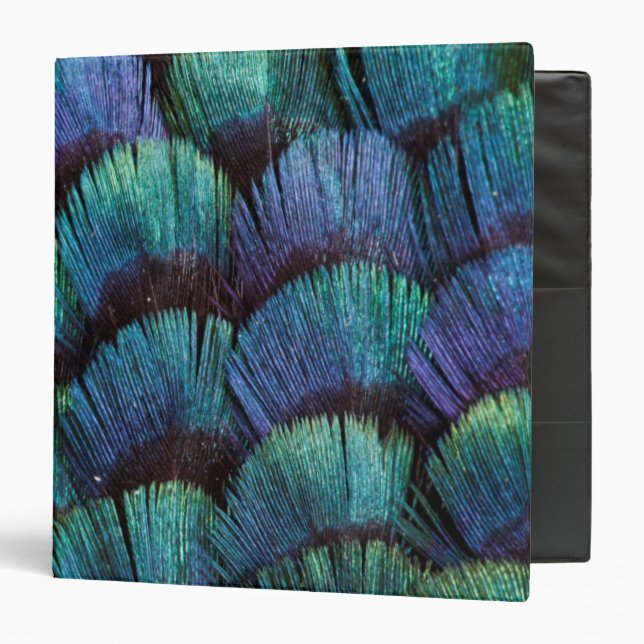 Blue-green pheasant feather design 3 ring binder (Front/Inside)