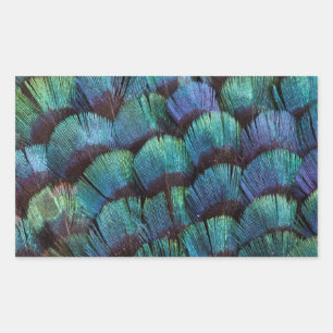 Blue-green pheasant feather design rectangular sticker