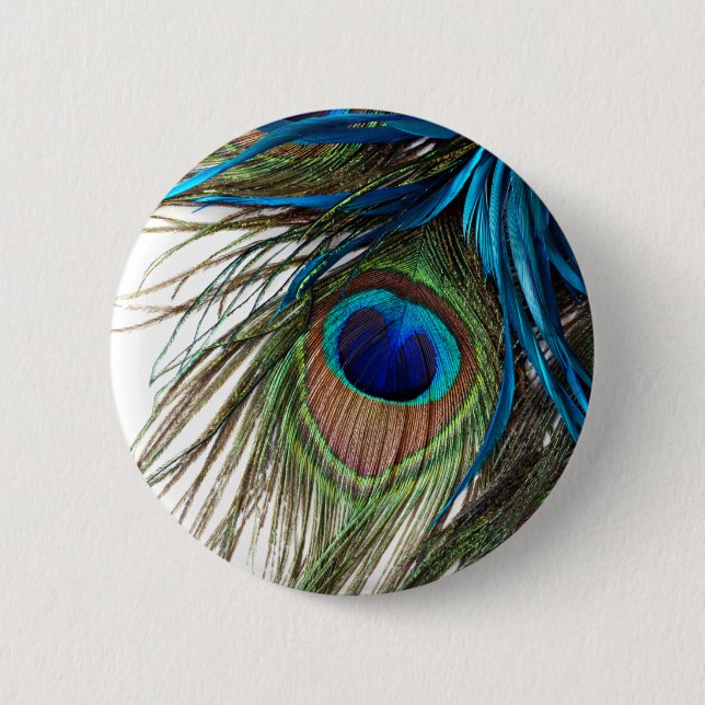 Blue Green Purple Exotic Peacock Feather Button (Front)